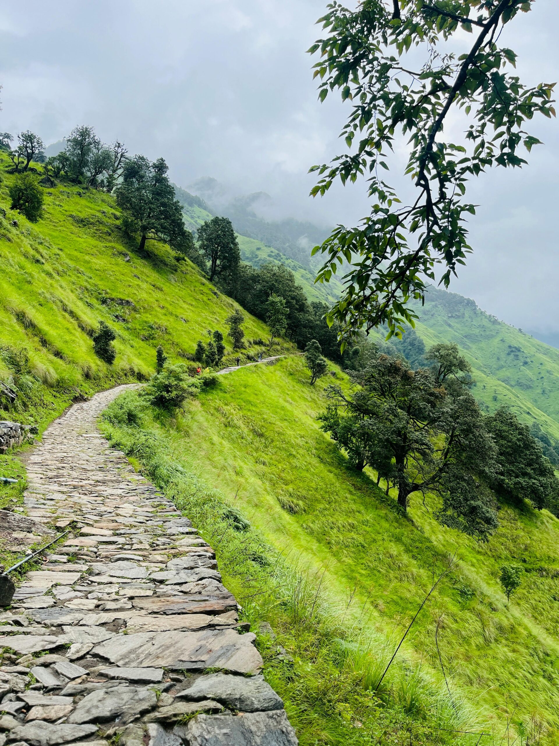 Manali
